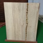 ΠΟΡΤΑΚΙ ΚΟΥΖΙΝΑΣ